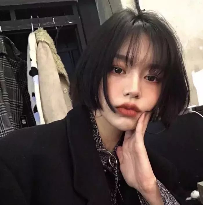 狐狸捕手